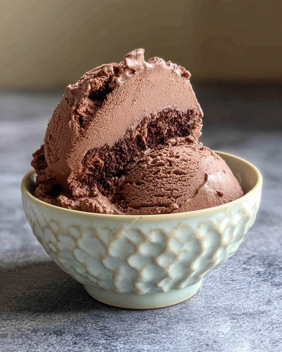 Chocolate Cake Chocolate Ice Cream